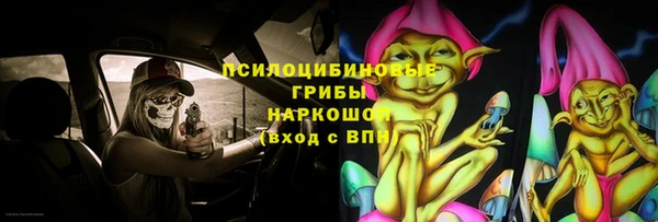 мет Инта