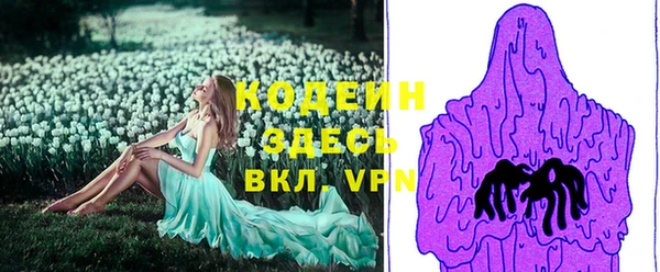 мет Инта