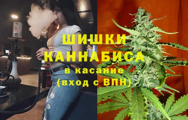 мет Инта