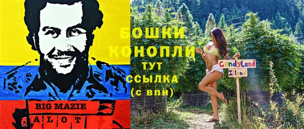 мет Инта