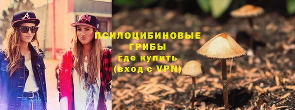 мет Инта